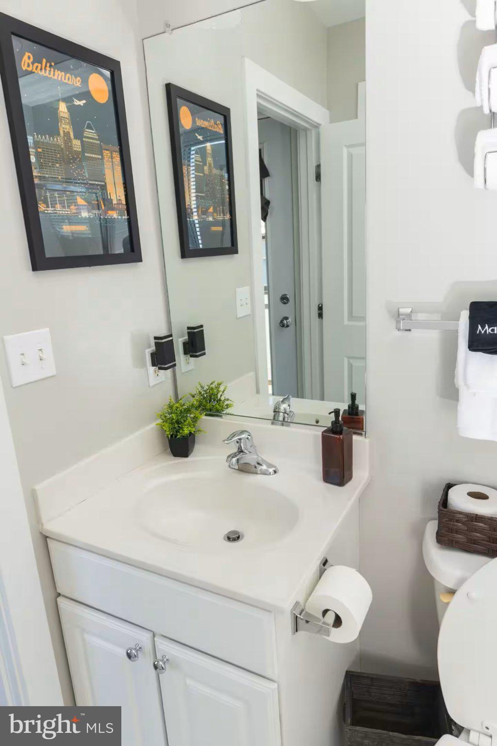 24 South Regester Street Baltimore, MD 21231 - Photo 22 of 32 Charming bathroom with modern touches.
