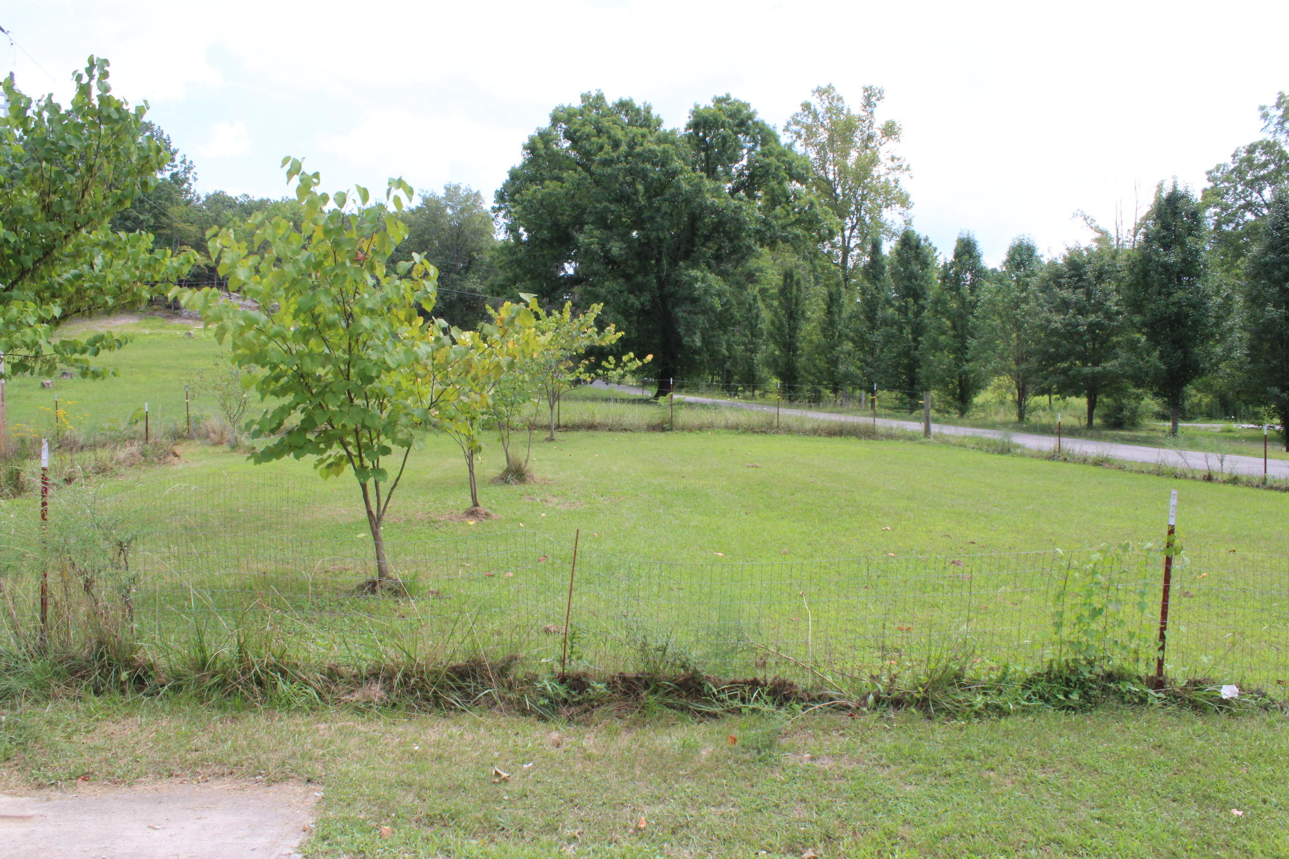 730 Fairgrounds Road Jamestown, TN 38556 - Photo 7 of 15 007