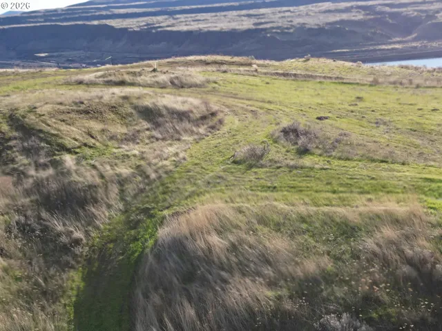 a black and white photo of a small yard