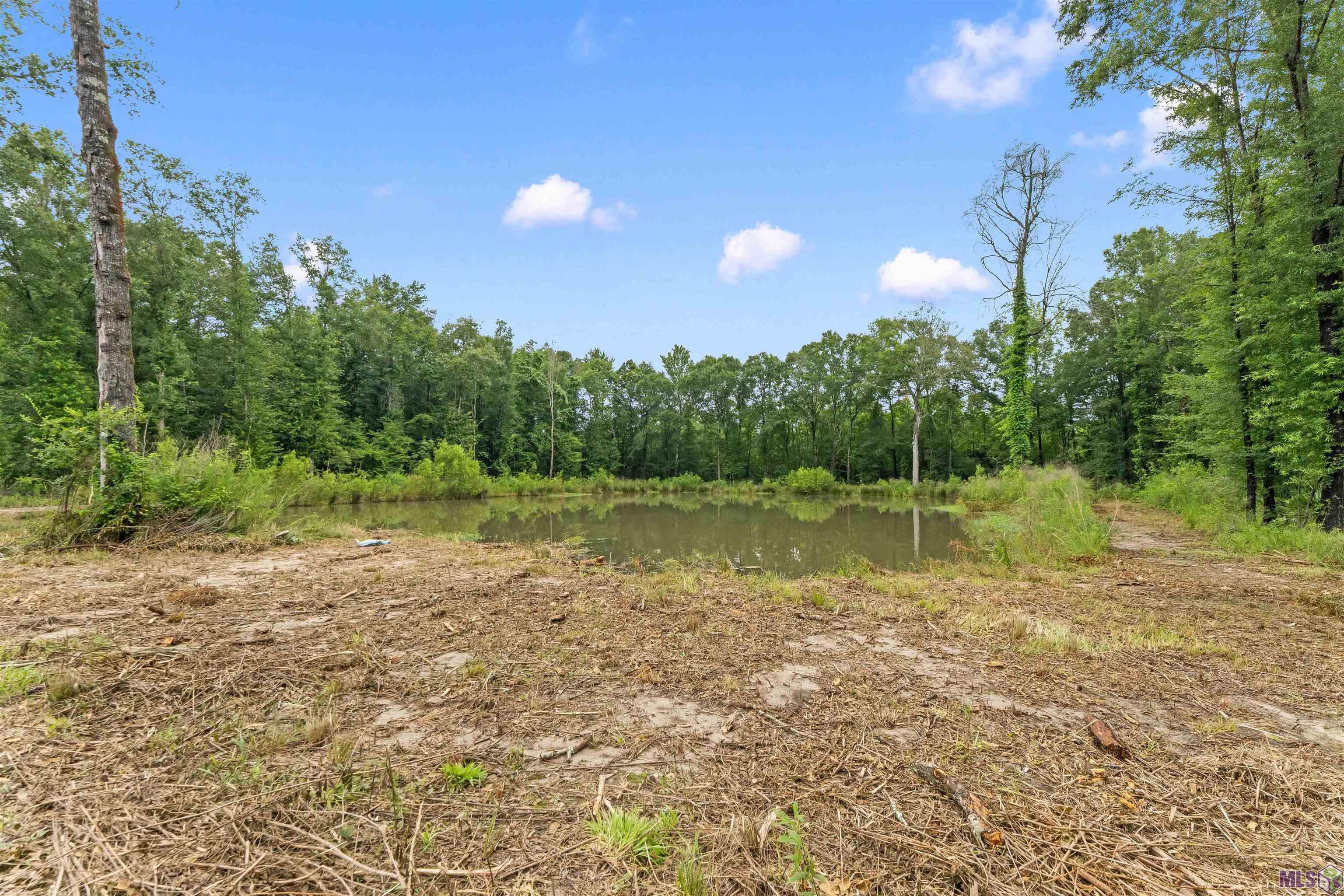 11973 Gurney Road Central, LA 70714 - Photo 6 of 11