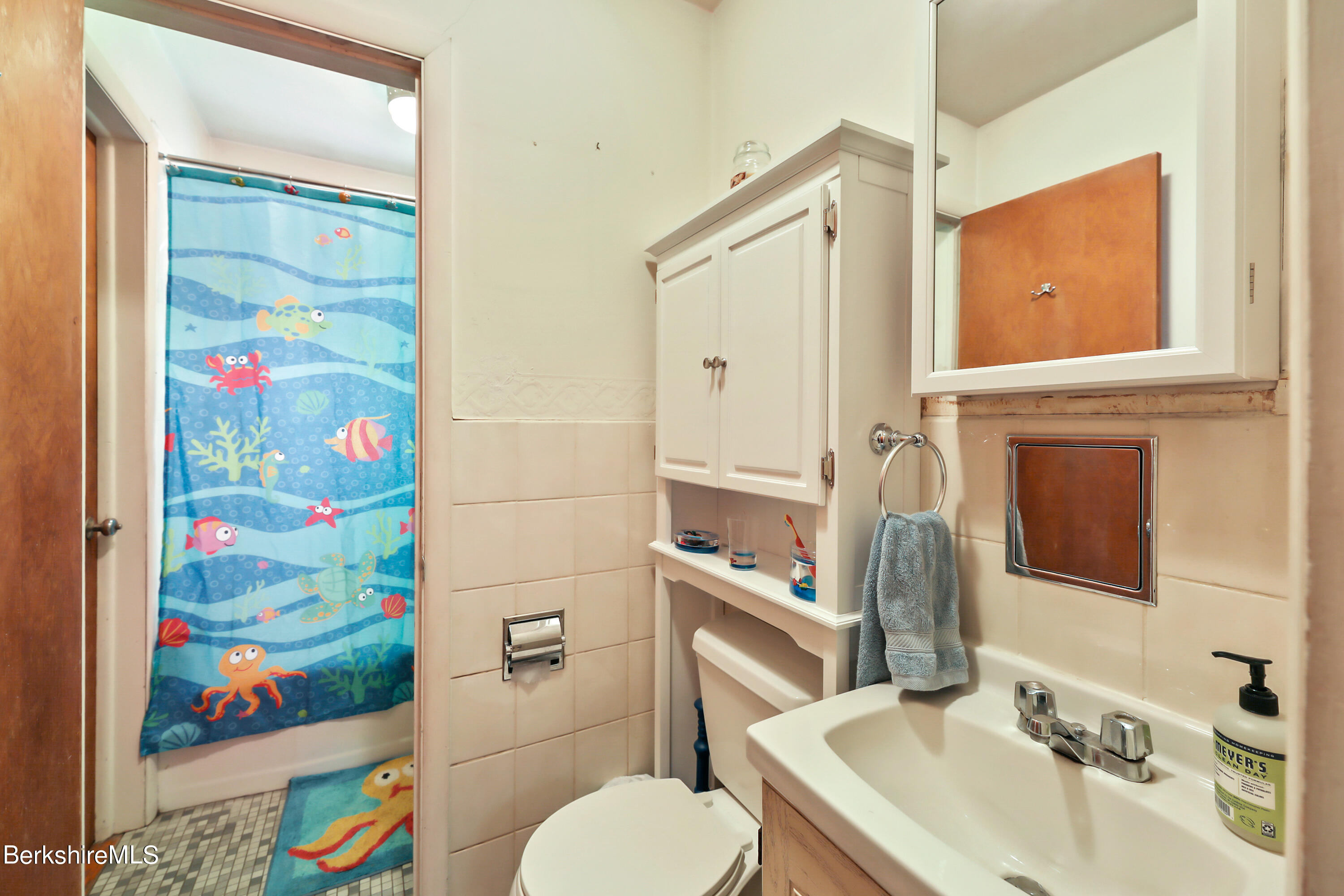 36 Lenox Road West Stockbridge, MA 01266 - Photo 23 of 30 a bathroom with a sink toilet and shower