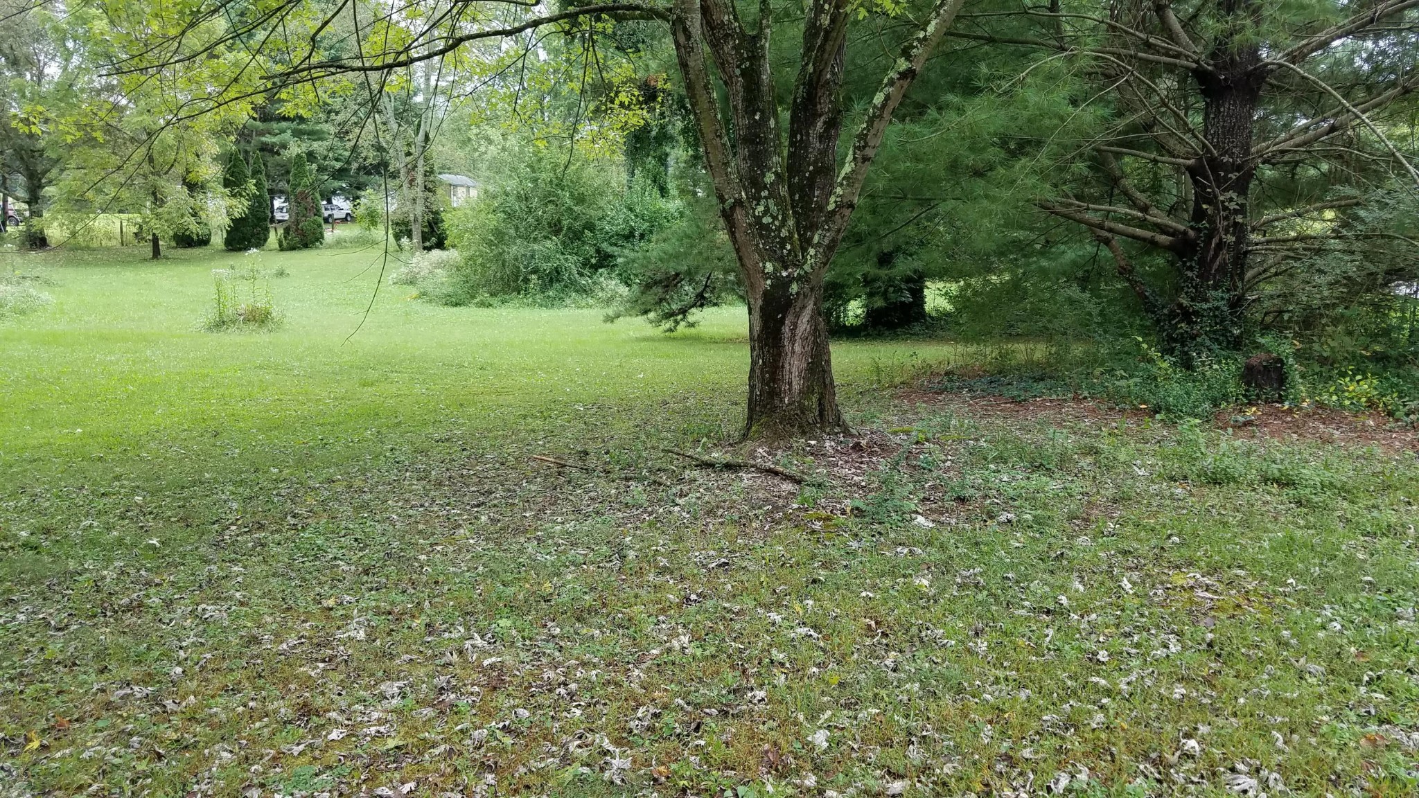 1016 Sheppard Road Jamestown, TN 38556 - Photo 16 of 27 Gallery Image 16