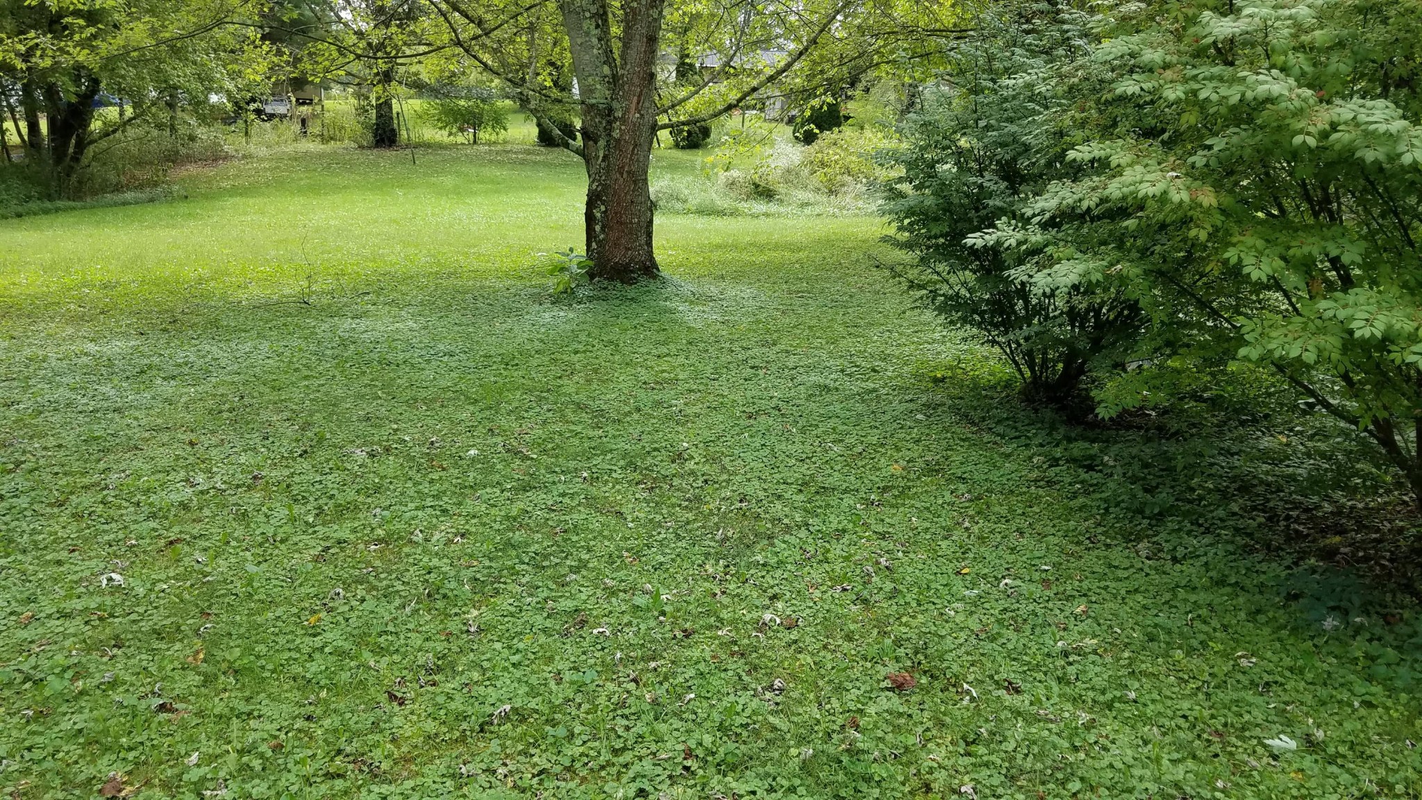 1016 Sheppard Road Jamestown, TN 38556 - Photo 17 of 27 Gallery Image 17