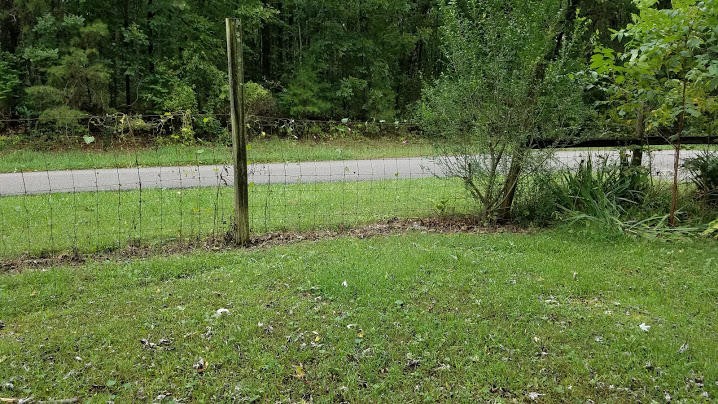 1016 Sheppard Road Jamestown, TN 38556 - Photo 18 of 27 Gallery Image 18