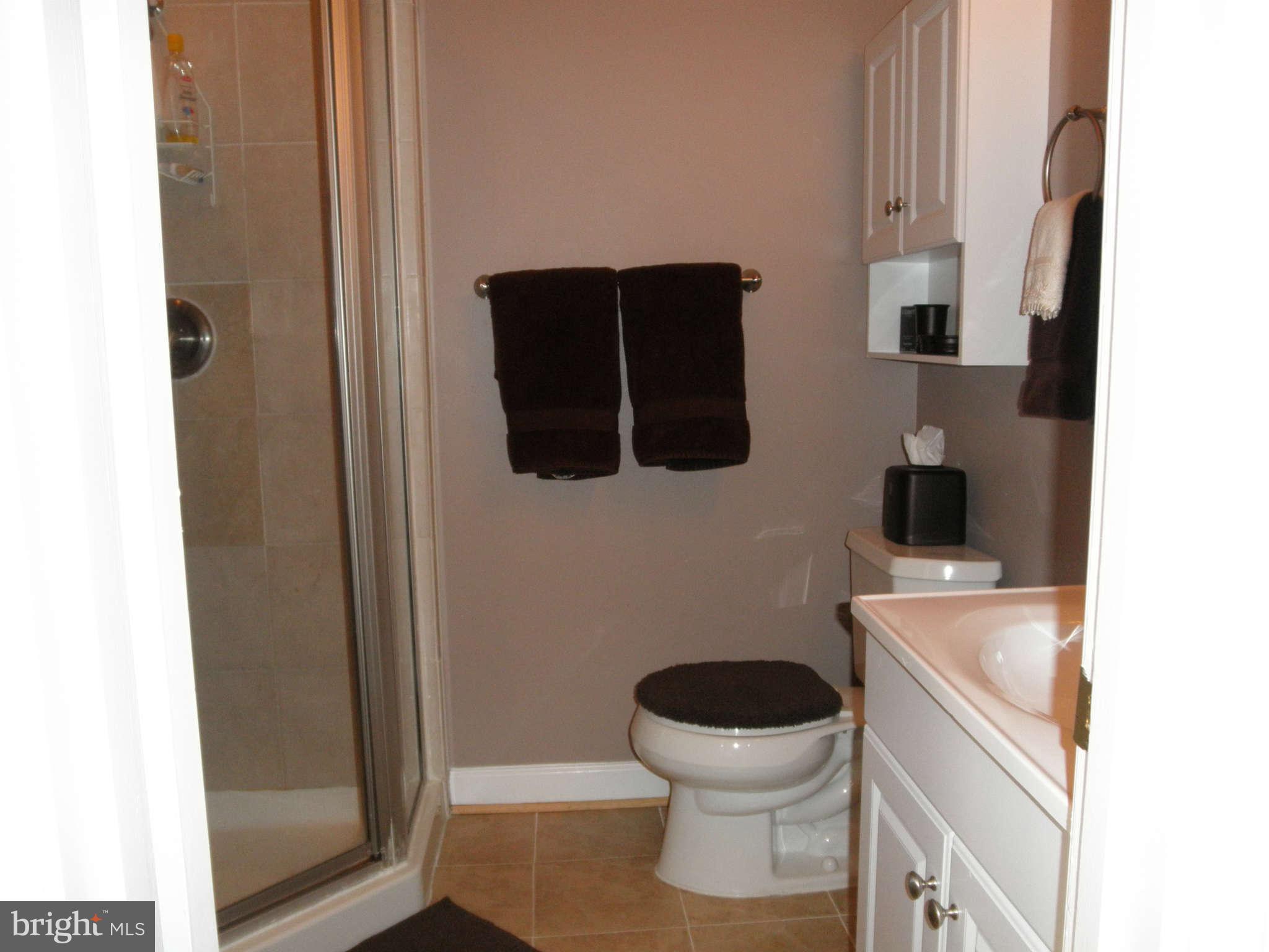 2009 Cradock Street Silver Spring, MD 20905 - Photo 12 of 28 Bath (Master)