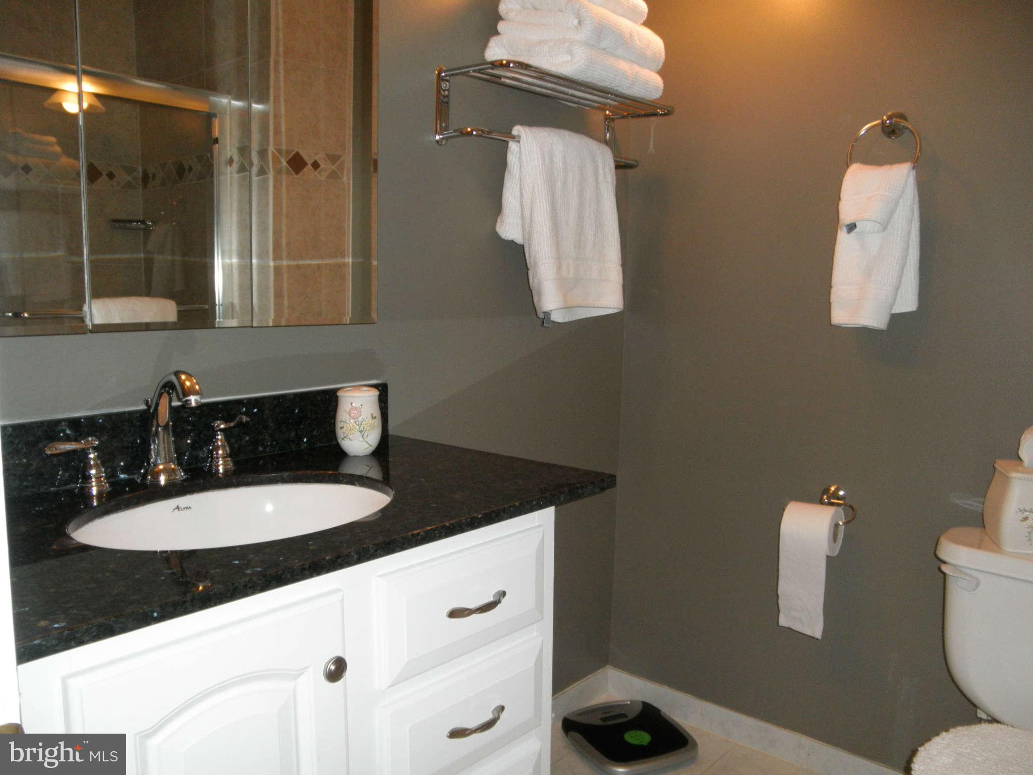 2009 Cradock Street Silver Spring, MD 20905 - Photo 16 of 28 Bath