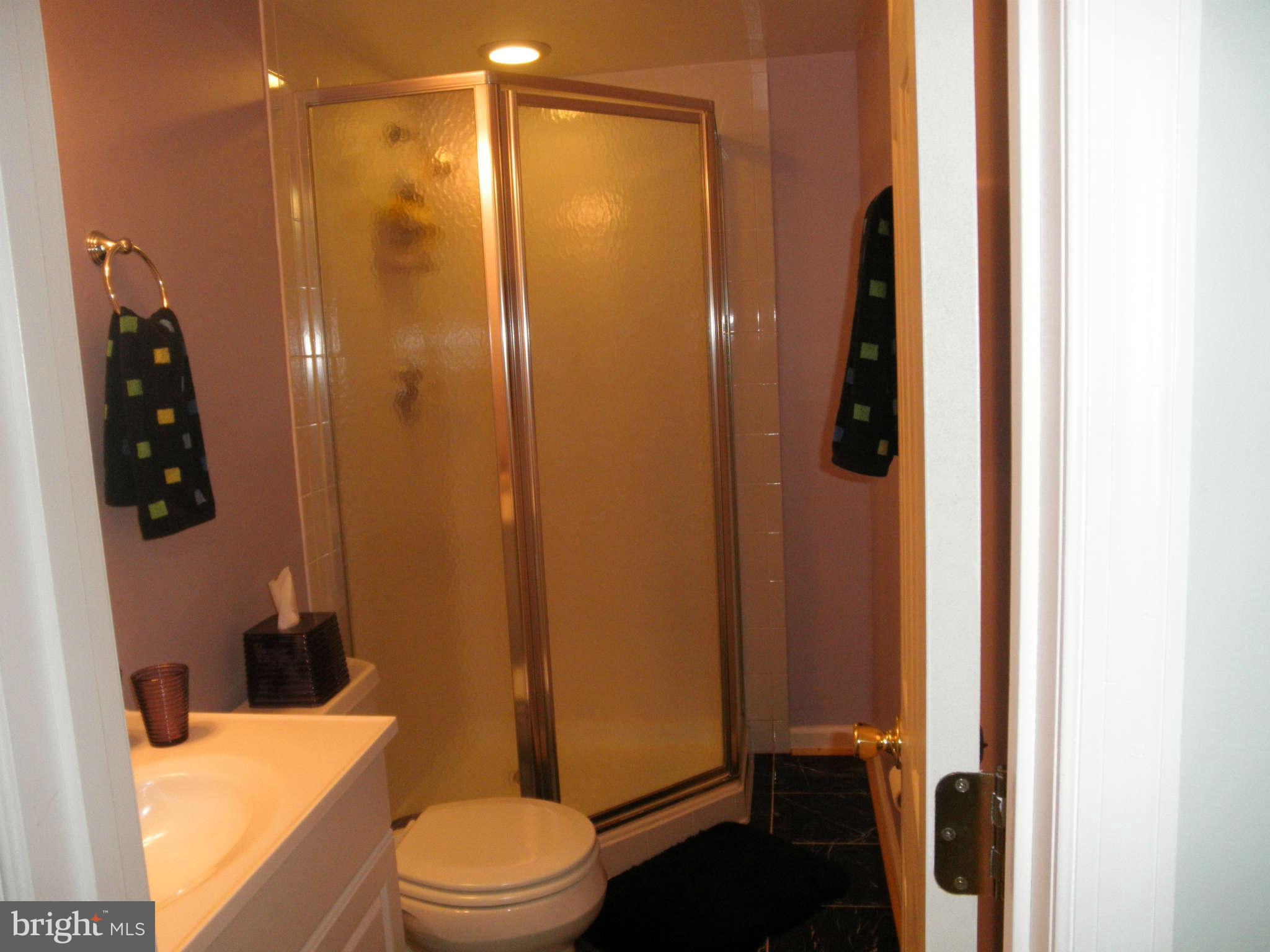 2009 Cradock Street Silver Spring, MD 20905 - Photo 23 of 28 Bath