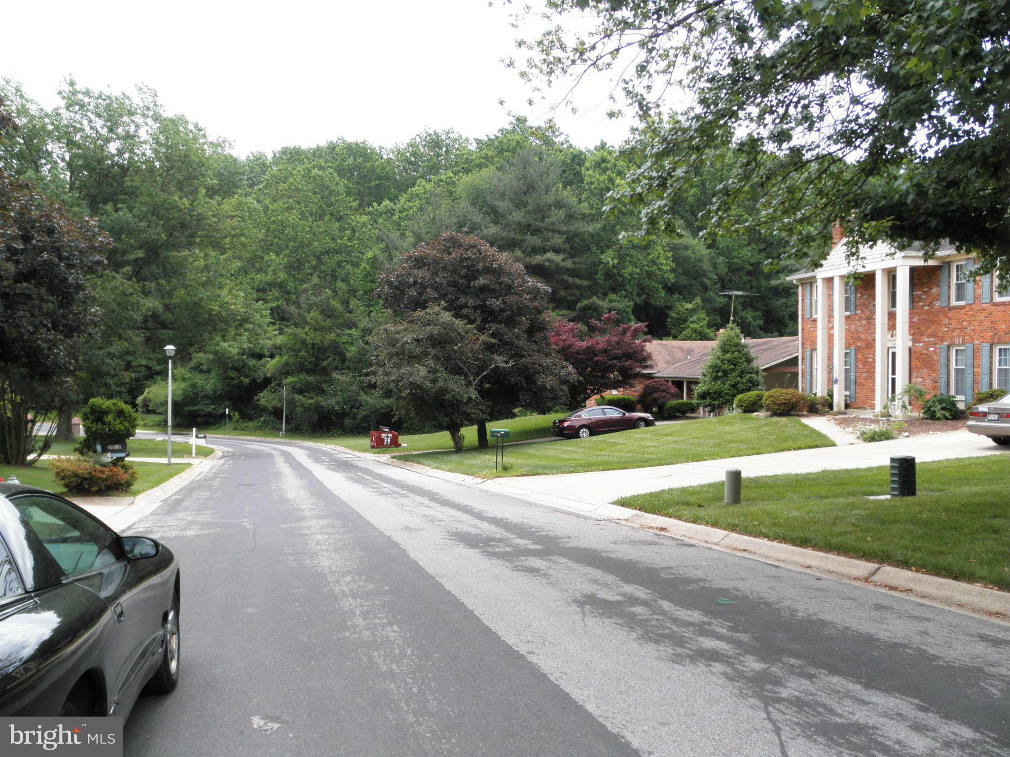 2009 Cradock Street Silver Spring, MD 20905 - Photo 28 of 28 ViewNeighborhood - Street view 2
