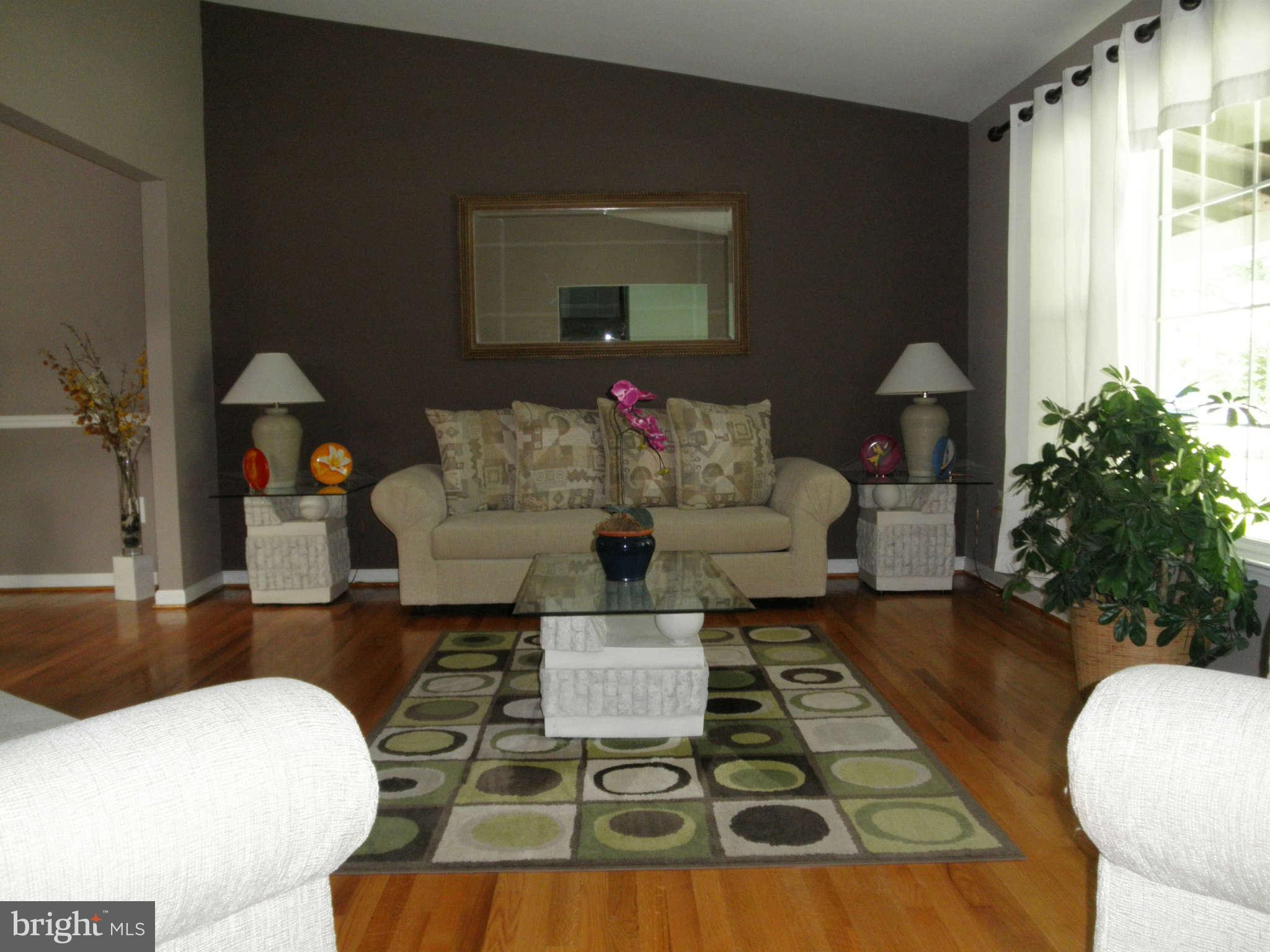 2009 Cradock Street Silver Spring, MD 20905 - Photo 4 of 28 Living Room