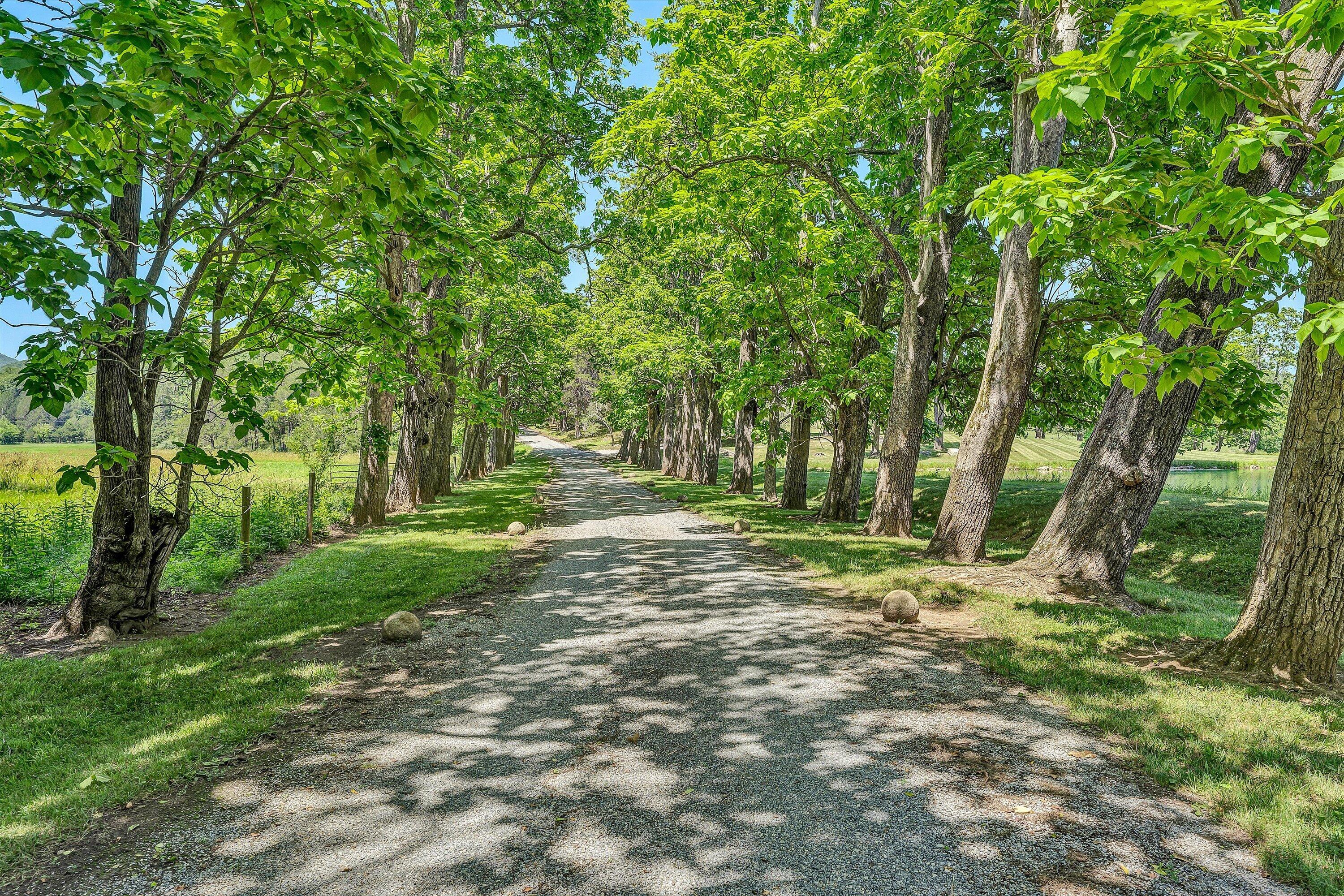 1066 Greyledge Road Buchanan, VA 24066 - Photo 102 of 122 102-DSC08779
