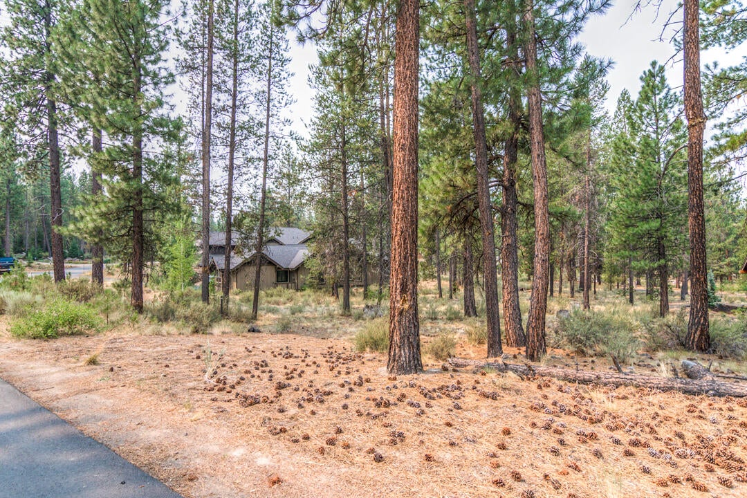 56196 Sable Rock Loop Bend, OR 97707 - Photo 1 of 28 1