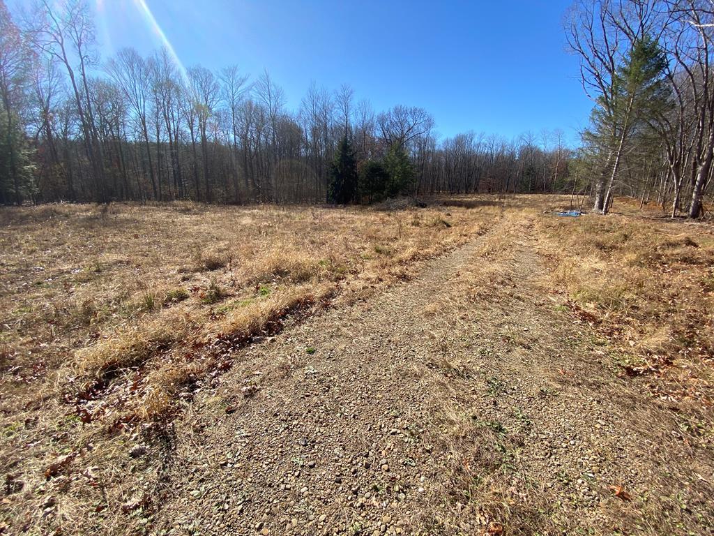 236 Brown Siding Road Franklin, PA 16323 - Photo 2 of 10 a view of wooden fence