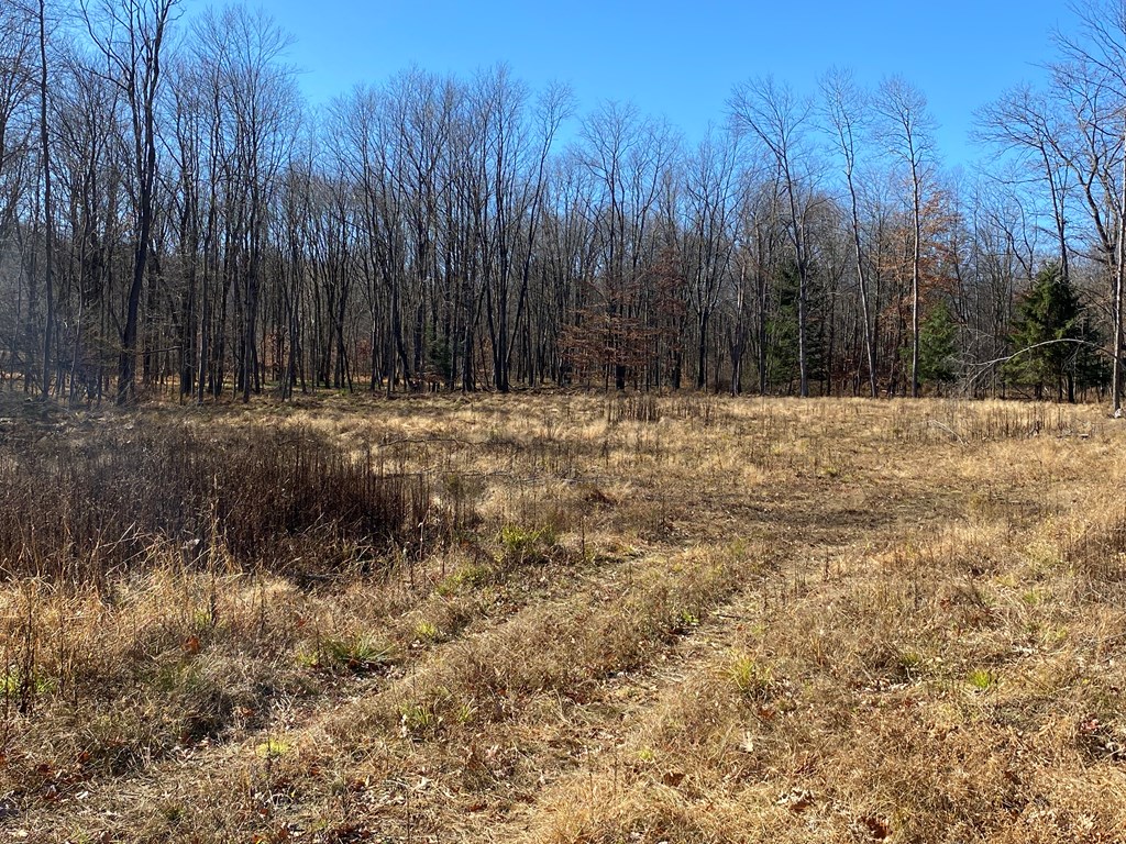 236 Brown Siding Road Franklin, PA 16323 - Photo 4 of 10 a view of dirt field with trees in the background