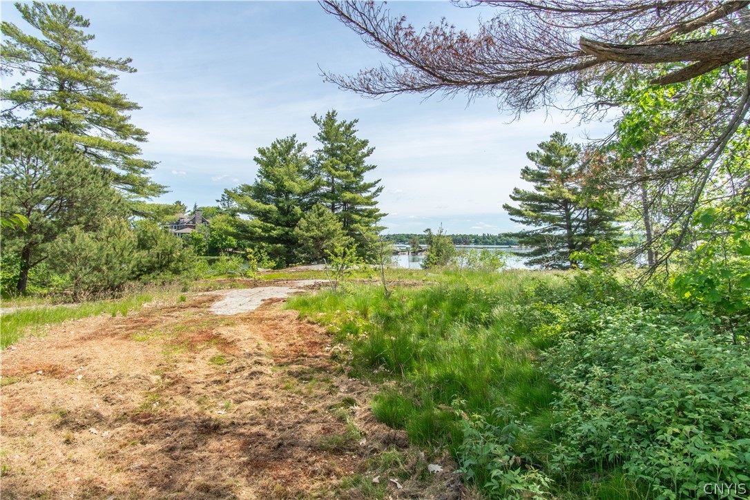48564 Norway Island Alexandria, NY 13607 - Photo 42 of 50