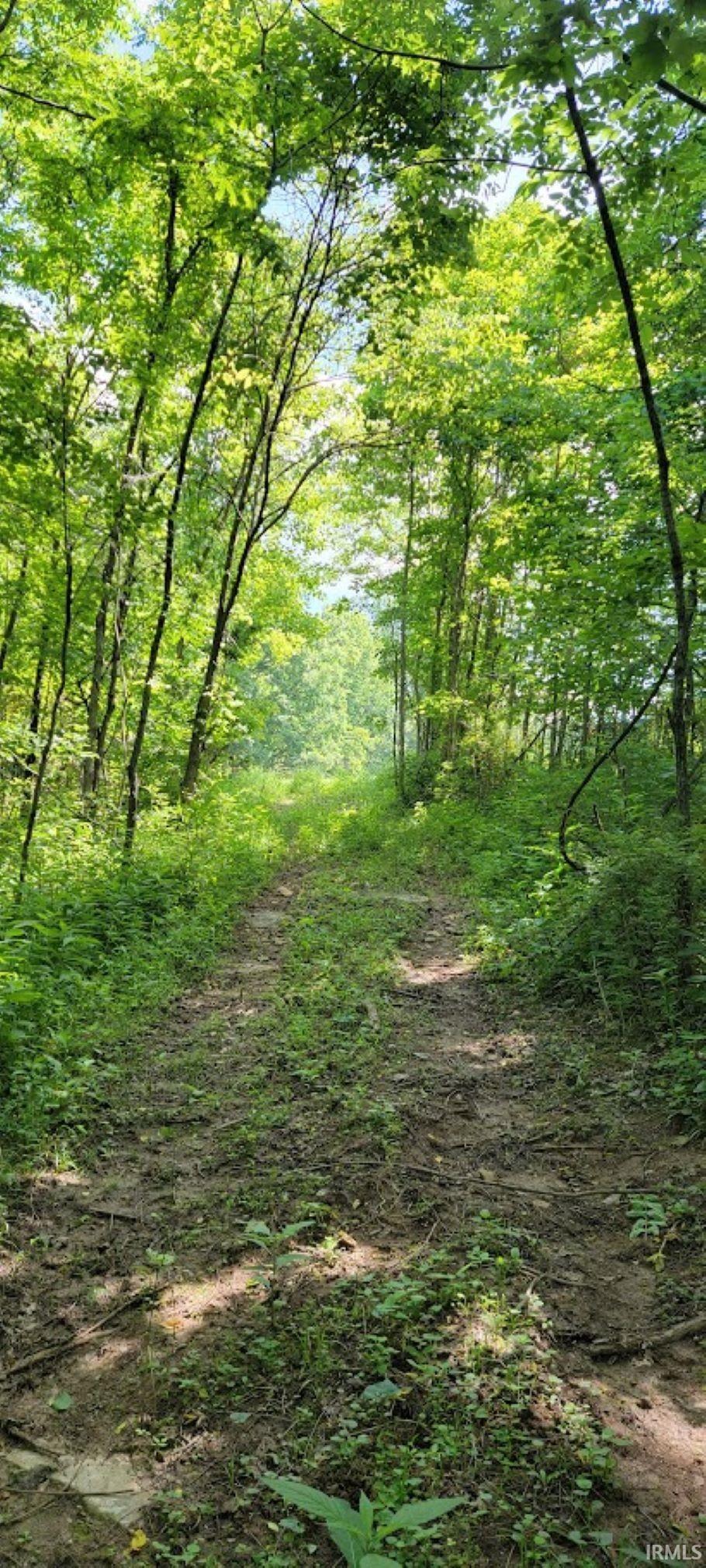 332 Breezy Hill Road Bedford, IN 47421 - Photo 11 of 19