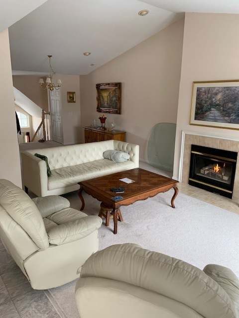 103 Bay Drive Itasca, IL 60143 - Photo 3 of 12 a living room with furniture and a fireplace