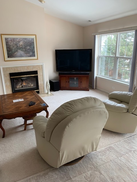103 Bay Drive Itasca, IL 60143 - Photo 8 of 12 a living room with furniture a flat screen tv and a fireplace