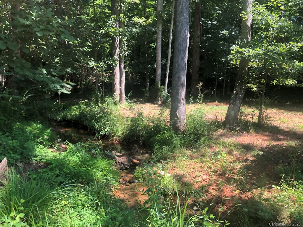 1117 Ponder Road Mill Spring, NC 28756 - Photo 33 of 39 a view of backyard with green space