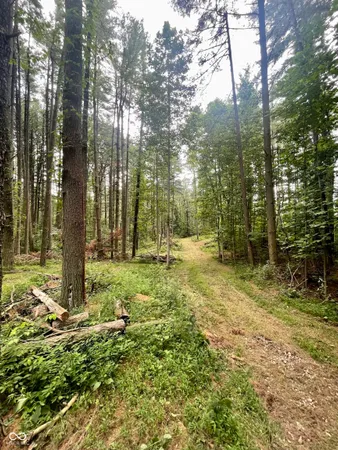 $199,000 | 7288 South Becks Grove Road, Freetown, IN 47235