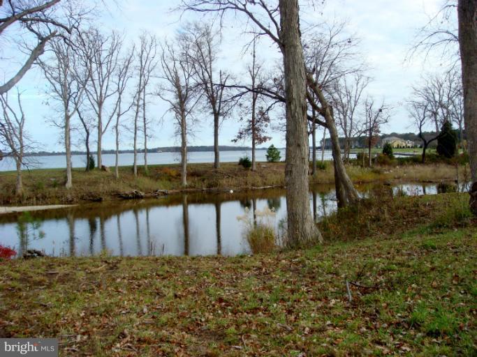 11 New Post Road St. Michaels, MD 21663 - Photo 12 of 22 Exterior (General)