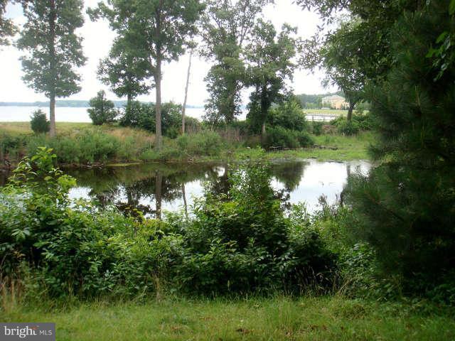 11 New Post Road St. Michaels, MD 21663 - Photo 9 of 22 View