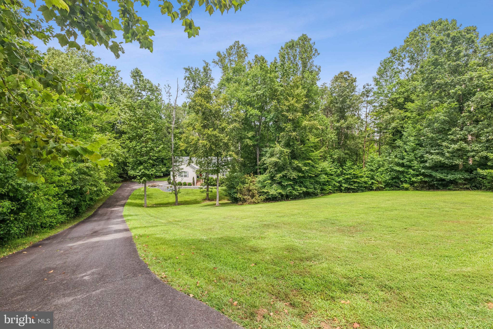 6108 Bills Road Mineral, VA 23117 - Photo 5 of 43 a view of a trees with a yard