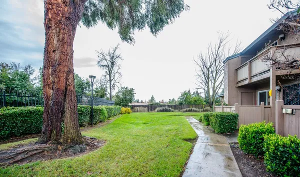 a view of a garden with a tree