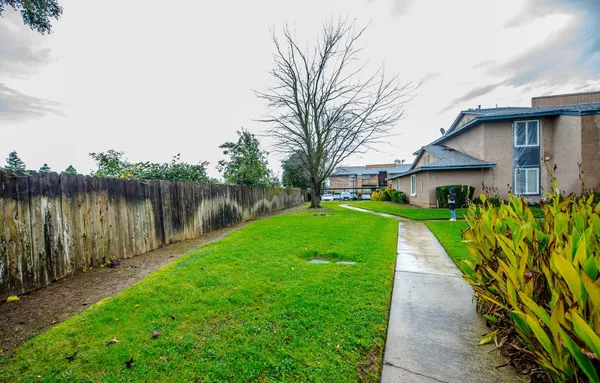 a view of a backyard with plants and a lake view