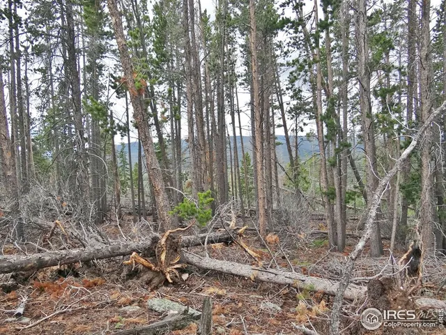 a backyard of a house with lots of green space and trees