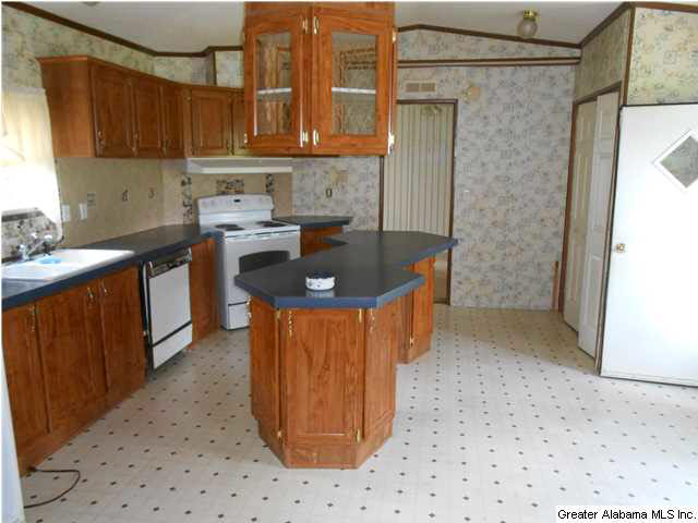 85 Sharon Drive Springville, AL 35146 - Photo 3 of 7
