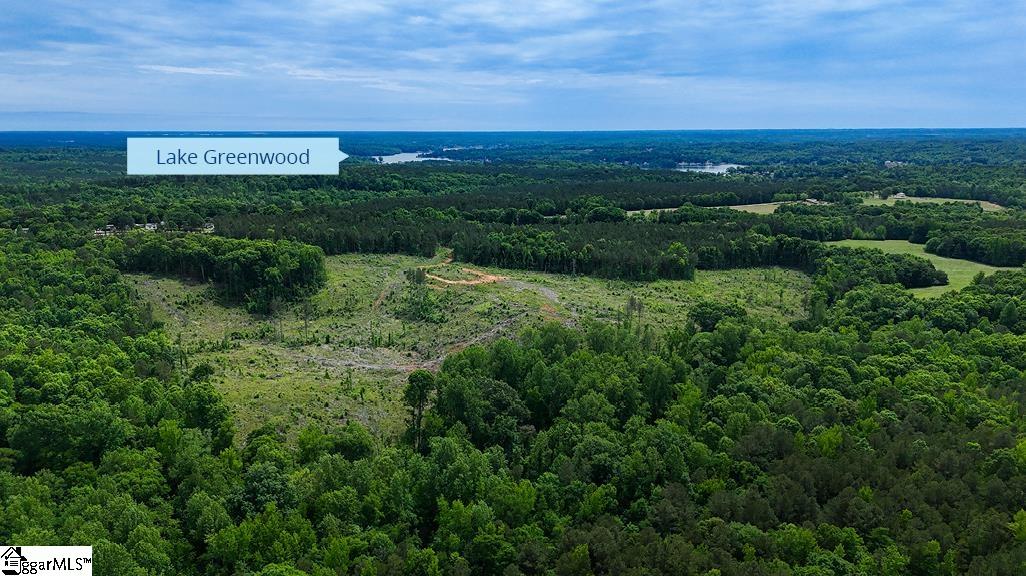 0 Todd Quarter Road Waterloo, SC 29384 - Photo 2 of 7