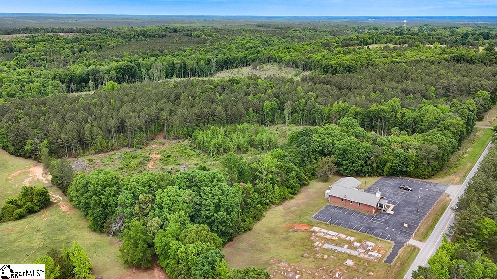 0 Todd Quarter Road Waterloo, SC 29384 - Photo 4 of 7