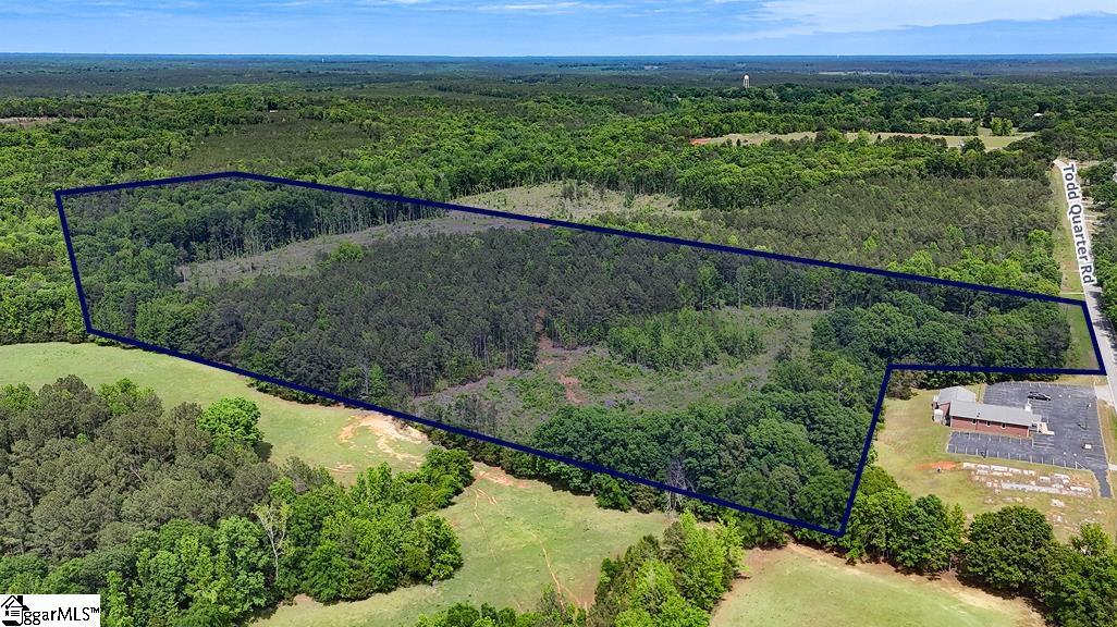 0 Todd Quarter Road Waterloo, SC 29384 - Photo 5 of 7
