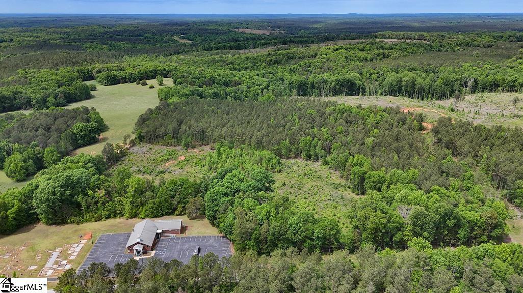0 Todd Quarter Road Waterloo, SC 29384 - Photo 6 of 7