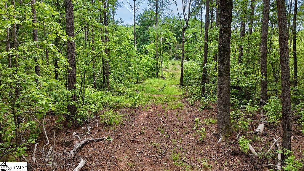 0 Todd Quarter Road Waterloo, SC 29384 - Photo 7 of 7