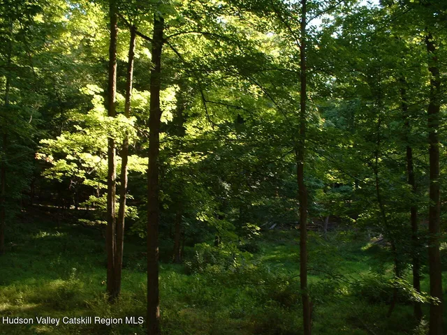a backyard of a house with lots of green space and trees