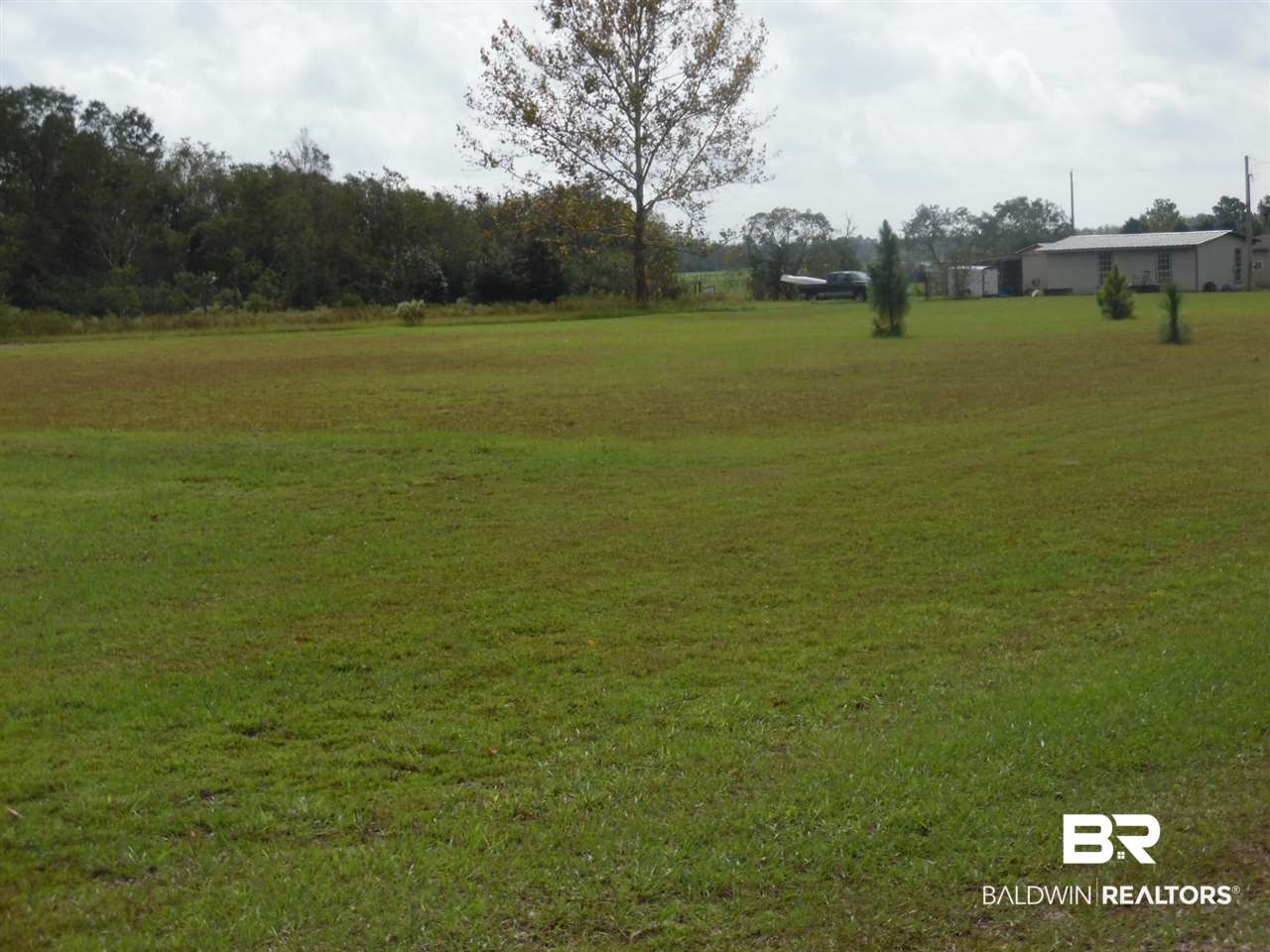 19800 Bird Hog Road Robertsdale, AL 36567 - Photo 21 of 23 Open Land