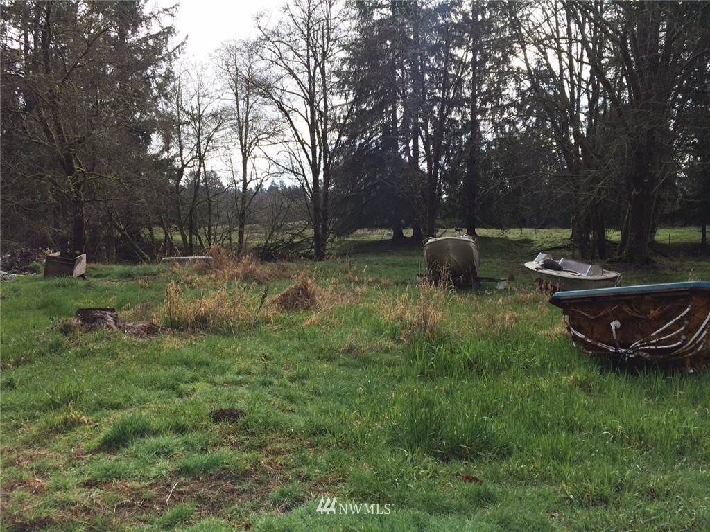 481 Coma Road Vader, WA 98593 - Photo 2 of 4