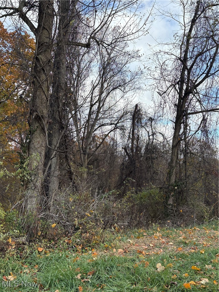Wanda Street Weirton, WV 26062 - Photo 3 of 5 View of nature