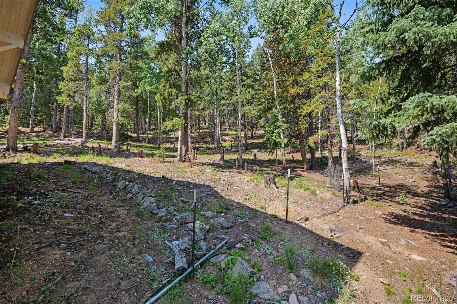 10742 Timothys Road Conifer, CO 80433 - Photo 39 of 50