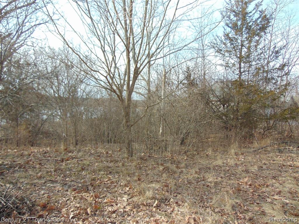 0 Taylor Lake Road Pontiac, MI 48342 - Photo 3 of 10