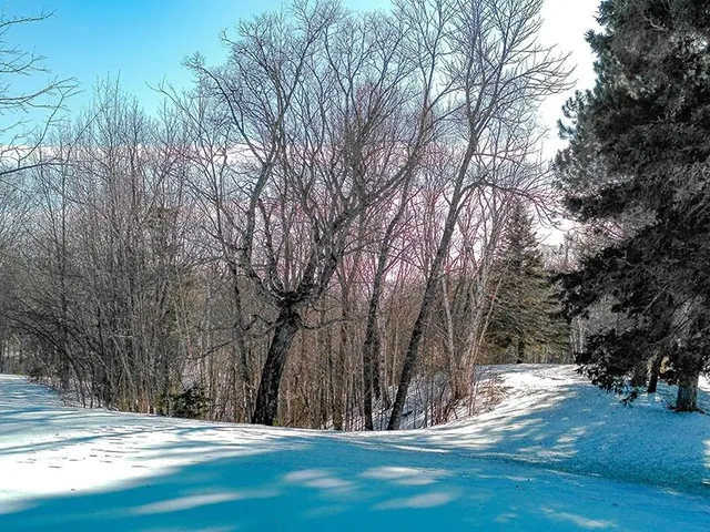 $399,000 | 532 X Caribou Trail, Lutsen, MN 55612