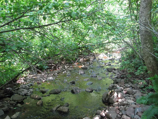 $399,000 | 532 X Caribou Trail, Lutsen, MN 55612