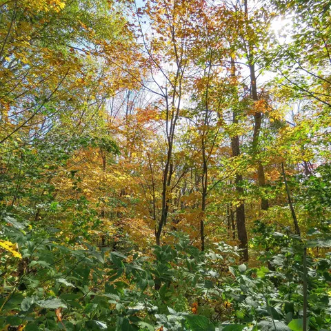 $399,000 | 532 X Caribou Trail, Lutsen, MN 55612