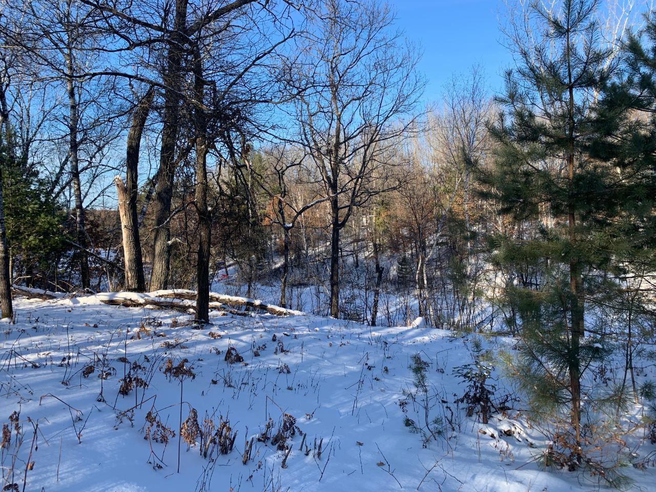Lot16-17 Deer Trail Road Tomahawk, WI 54487 - Photo 4 of 17 Gallery Image 4