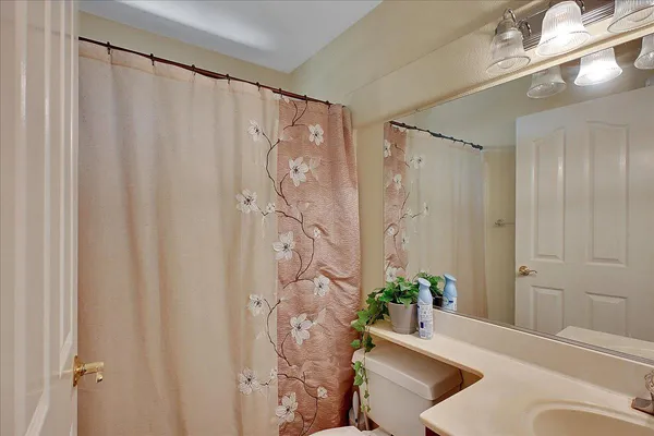 a living room with a toilet and a shower curtain