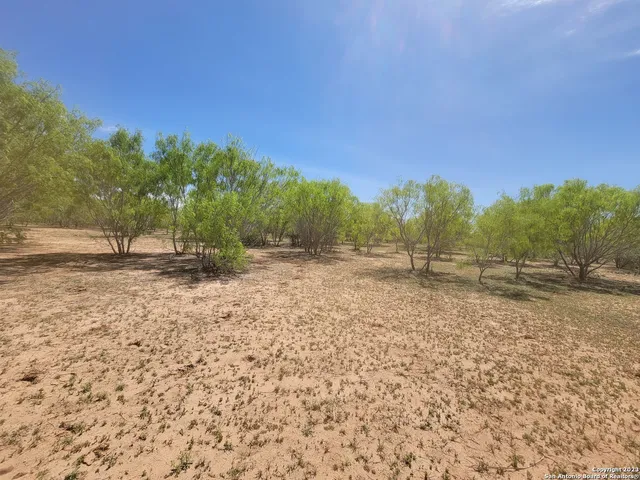 a view of backyard with green space