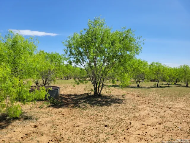 a view of a backyard with green space