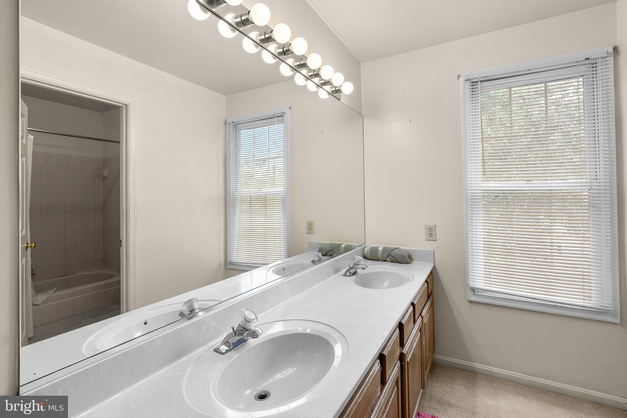 1400 Baytree Terrace Bowie, MD 20721 - Photo 31 of 39 a bathroom with a sink and a large mirror