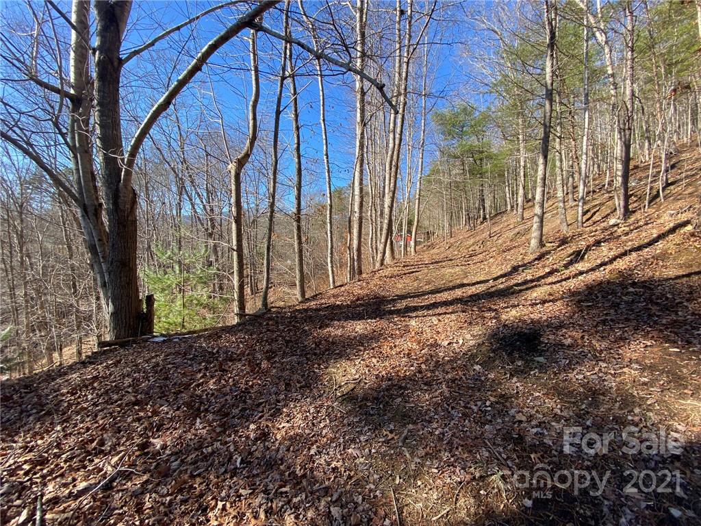 216 Waldroup Road Hot Springs, NC 28743 - Photo 2 of 48 Gallery Image 2